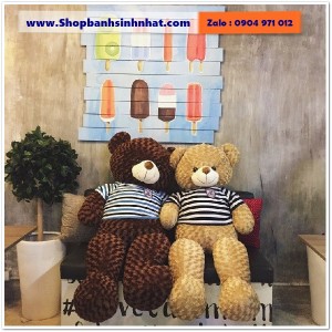 Gấu Bông Teddy Hàn Quốc - GAU35